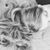 Sara Terry's profile image
