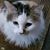 Kathy Kuba's profile image