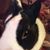 Karina Downs's profile image