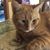 Kathleen McVicker Miller's profile image