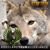 Theda Franz's profile image