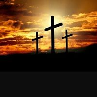 Suzette J. Smals's profile image