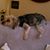 Marjie Tremblay Stevenson's profile image