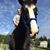 Valerie Terrell's profile image