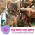 Vicki Freeman Herrick's profile image