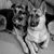 Michelle Nepple Mount's profile image