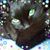 Jan England's profile image