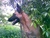 Janell C.'s profile image