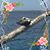 Cathy Grogan Mattox's profile image