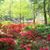Becky Ezell Childers's profile image