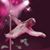 Pamela Oliver's profile image