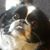 Christopher Aitken's profile image