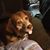 Brenda Wightman-Langley's profile image