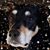 Tammy Dolce's profile image