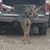 Randy Gourley's profile image