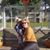 Kim Amburn Dillow's profile image
