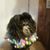 Yvonne Elwell's profile image