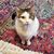 Cynthia Frericks's profile image
