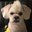 Leia's profile image