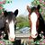Adelia Dee Manley's profile image