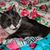 Tina Puryear's profile image