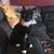 Jenny Schaefer Busche's profile image