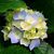 Debbie Bennett's profile image