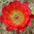 Betty Uhlemann O'Reilly's profile image