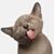 Kim Kavanaugh's profile image