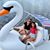 Nancy DeSousa's profile image