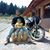 Javier Ulises Cortes Vidal's profile image