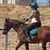 MaryAnne Turner's profile image