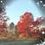 Chawn Whitsitt's profile image