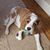 Susan Mumm Bender's profile image