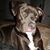Pauline Cassidy's profile image