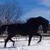 Sherry Avery Pattillo's profile image