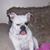 Heidi McHugh's profile image