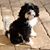 Tanja Wolf's profile image