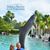 Maureen Vaughn's profile image