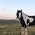 Valarie Jerome's profile image