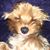 Kathy Matherly Banta's profile image