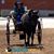 Linda Laud's profile image