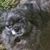 Megan Franck's profile image