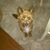 Jennifer Valone's profile image
