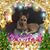 Maryann Busse's profile image
