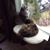 Martine Chartier's profile image