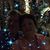 Lisa Lindsey Martin's profile image