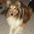 Mitzi Moore McIntosh's profile image