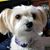 Lisa Larson-Sutter's profile image