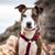 Dawn Lockett's profile image